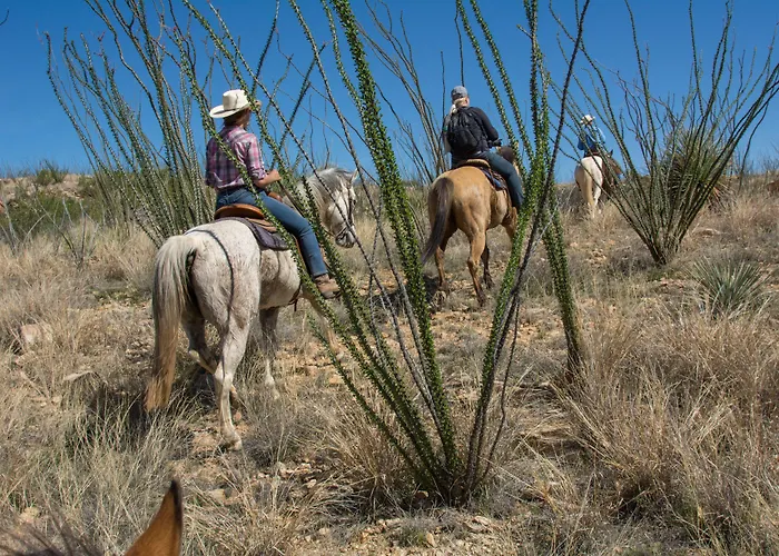 Rancho De La Osa Guest Ranch 3*